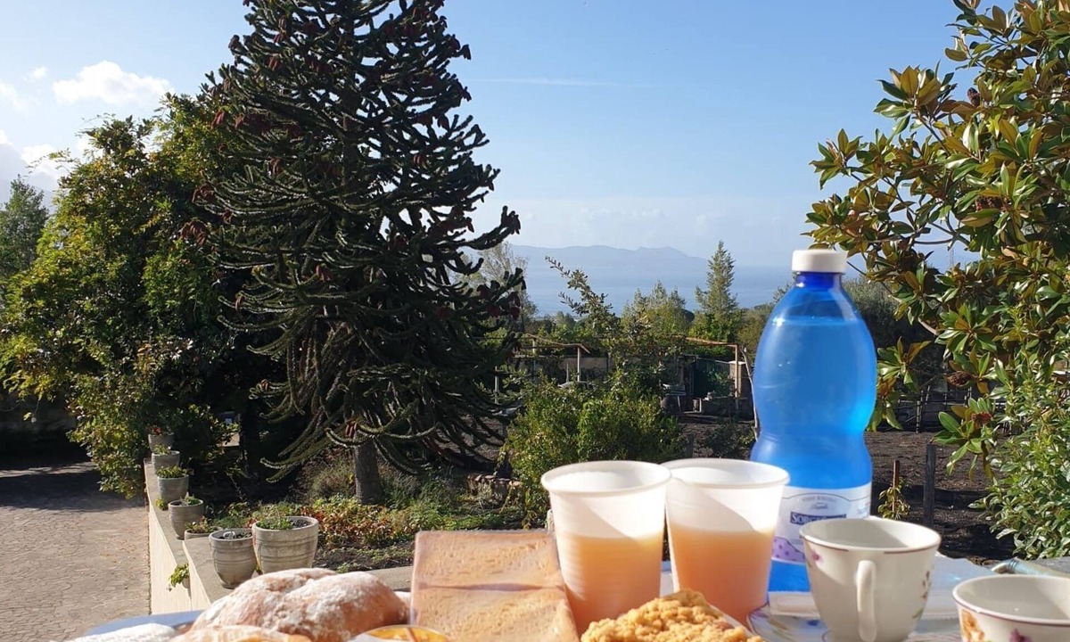 Trecase House | Le sette punte