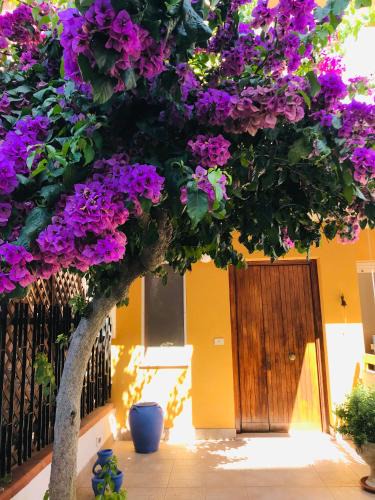 Termoli Bed & Breakfast | Le stanze di Botticelli