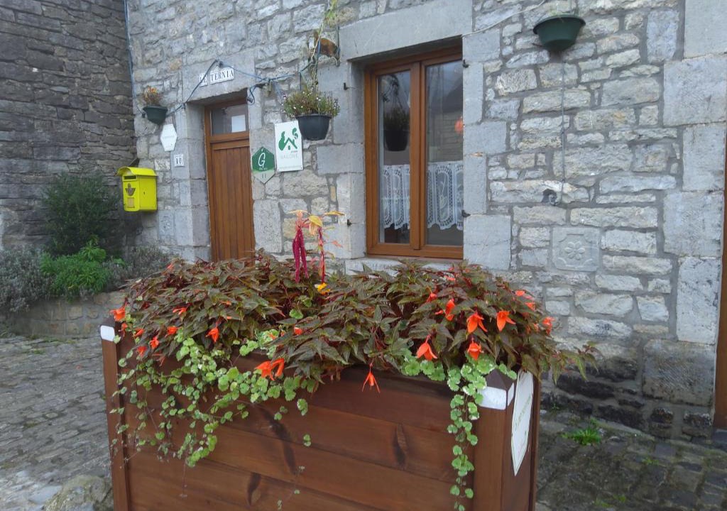 Mazee House | Le ternia