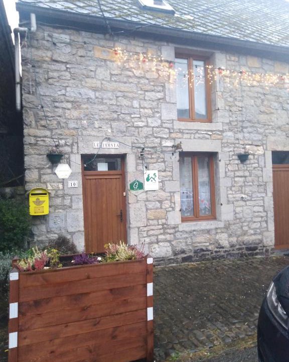 Mazee House | Le ternia