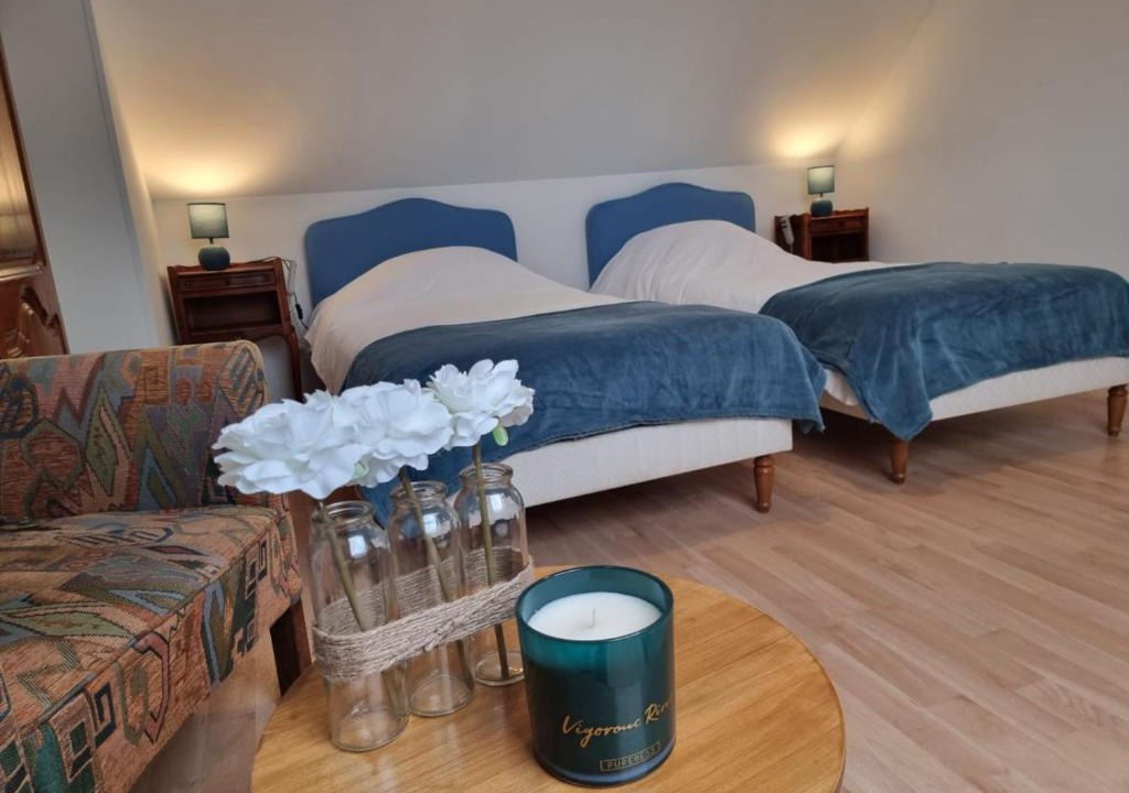 Romorantin-Lanthenay Apartment | Le Vivien