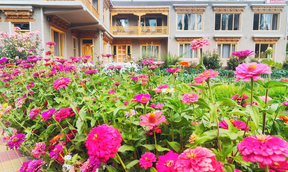 Leh Hotel | Leh Stumpa