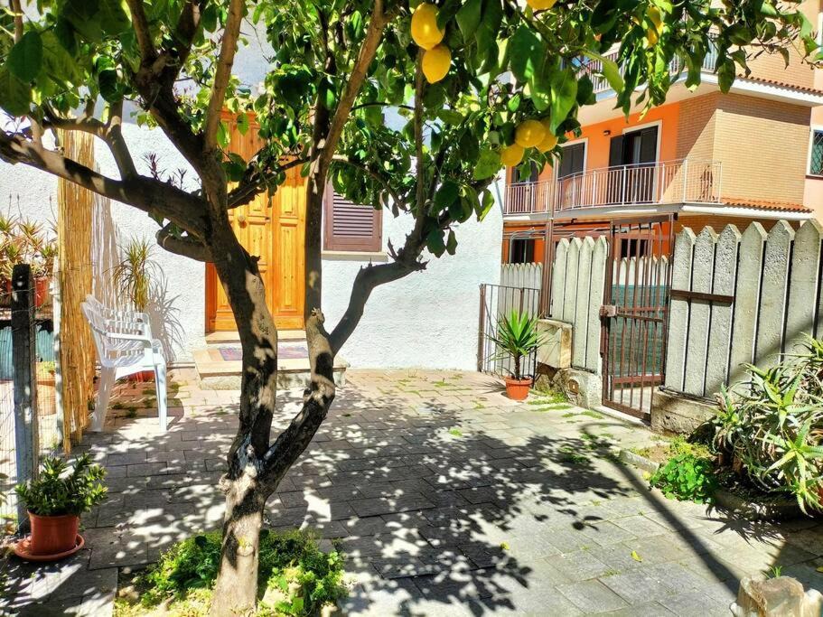 Monterotondo Apartment | Lemon Casa con giardino
