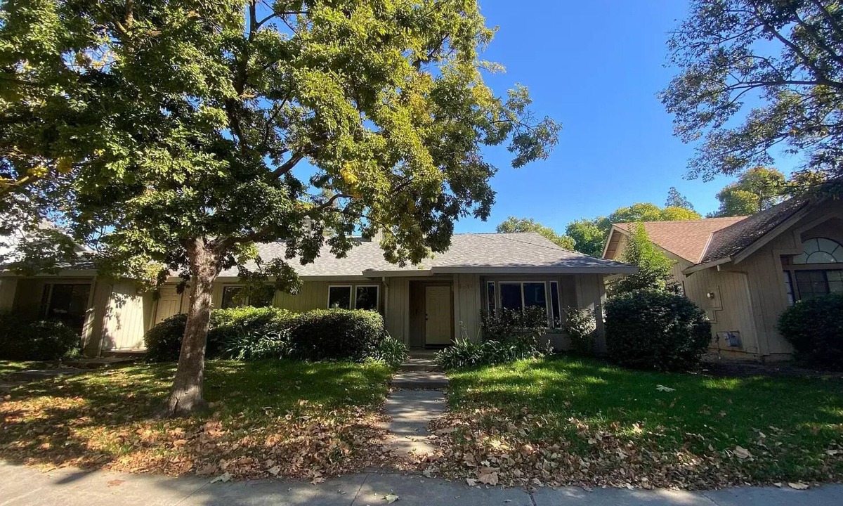 Davis House | Lemontree House: Chic Davis 3BR Gem near UC Davis