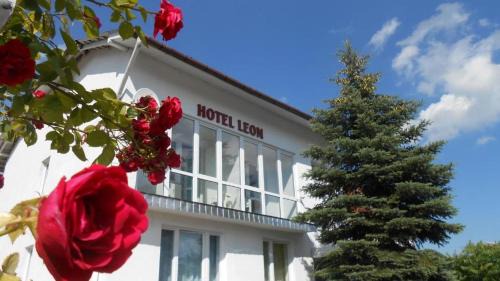Biala Podlaska Apartment | Leon