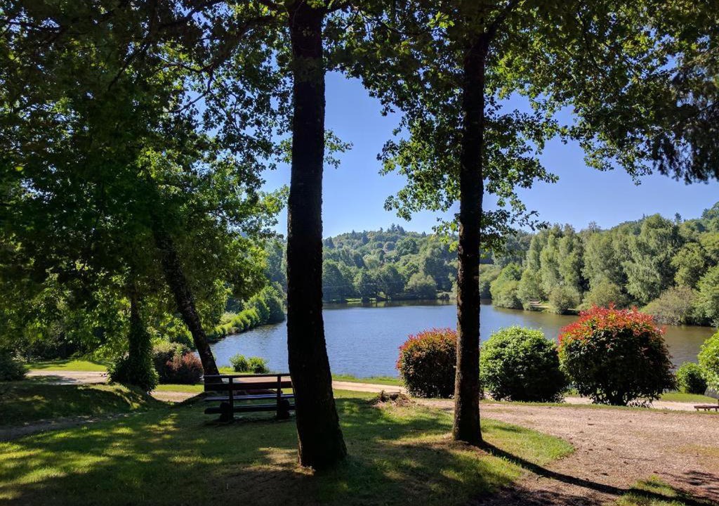 Cussac House | Les bouleaux