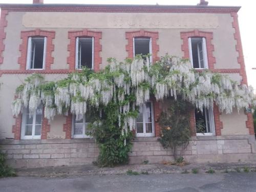 Saint-Marien House | les glycines