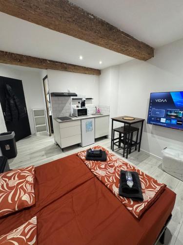 Limoux Apartment | Les Perles de Limoux -Studio Centre Climatiseur Wifi Parking Gratuit