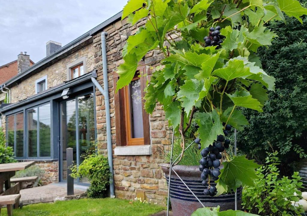 Manhay House | Li Pitite Magrite