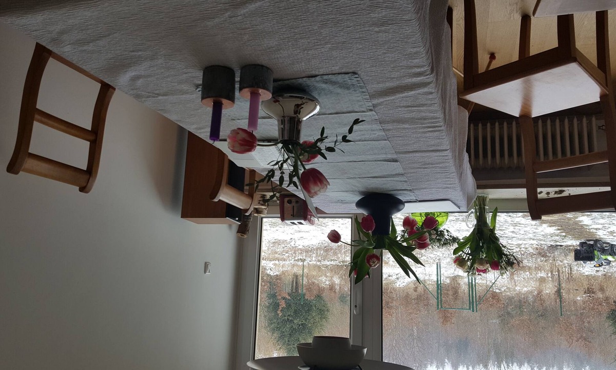 Waldtrudering House | Lightfilled familyfriendly house with big garden