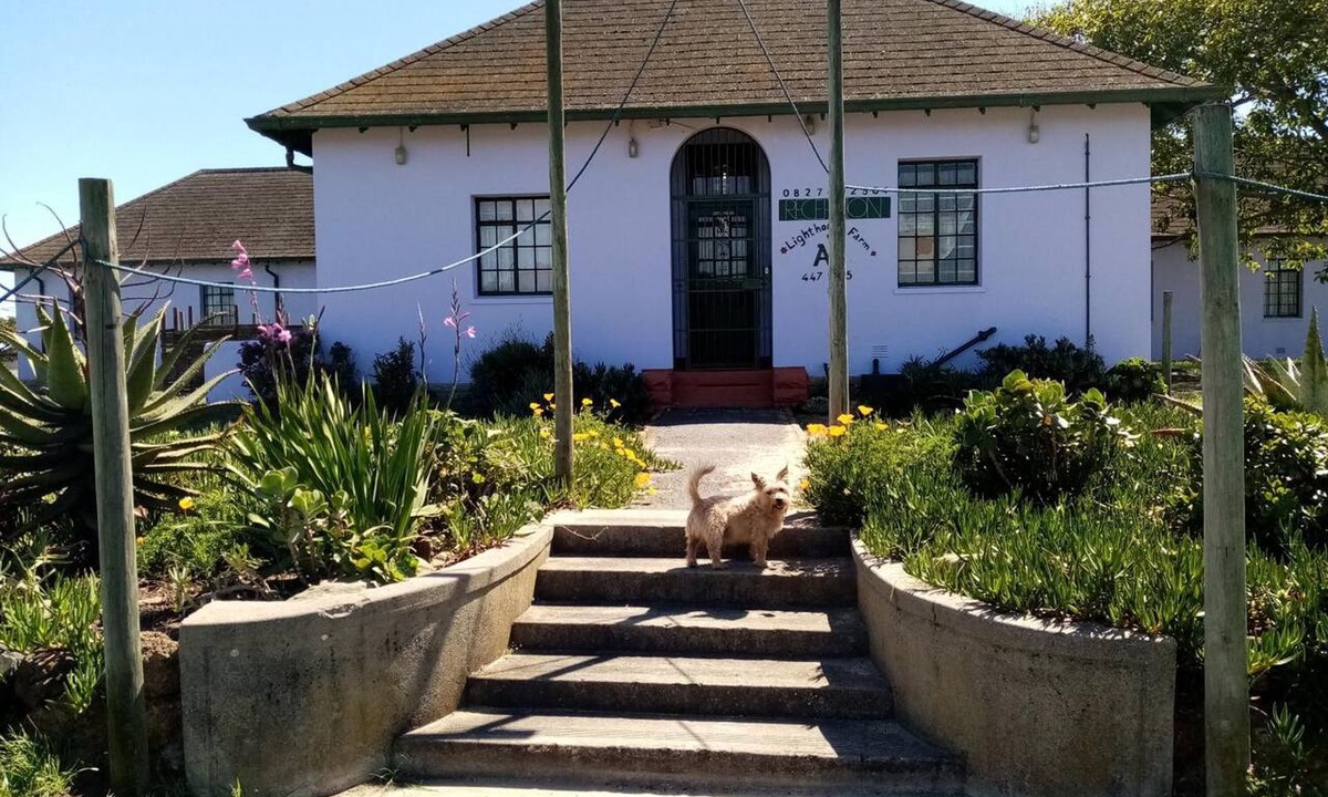 Cape Town Hostel | Lighthouse Farm Backpackers Lodge