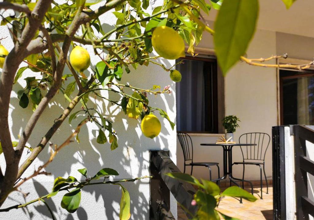 Termoli Apartment | Lily House