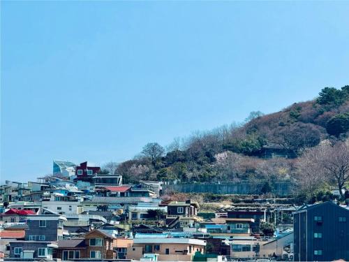Yeosu Hostel | Lime Hostel
