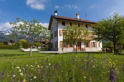 Feltre House | lioelara