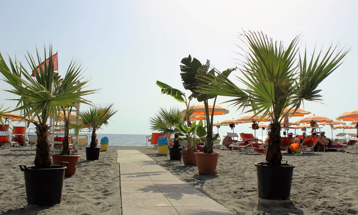 Falerna Hotel | Lion's Hotel