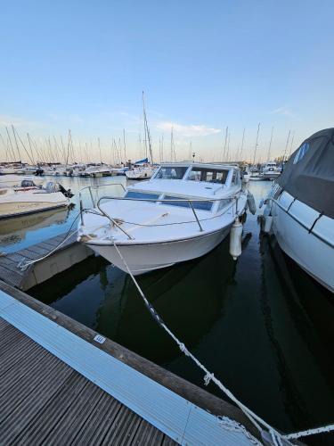 Parque das Nacoes Boat Rental | Lisboa Barco Corleone