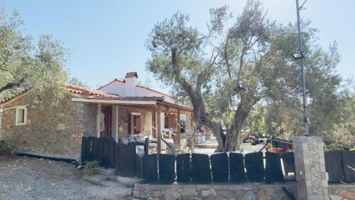 Plomari House | Lithos Estate Plomari