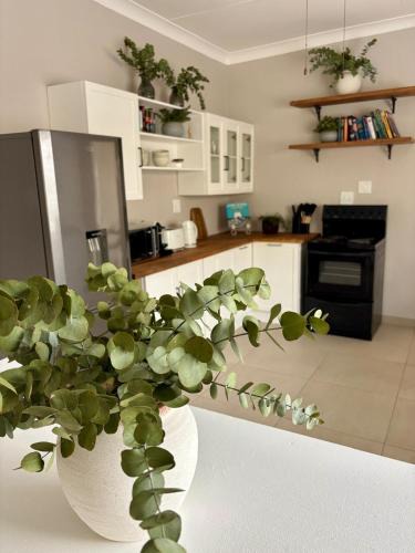 Parys House | Little Fleur
