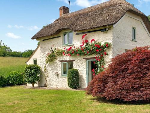 Bridport House | Little Thatch