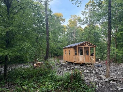 Willet Other | Live The Outdoors Camp