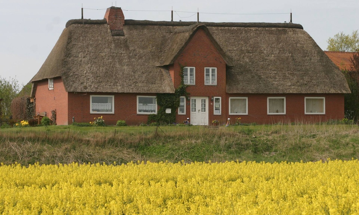 Fahretoft Apartment | Living under a thatched roof, in the quiet neighborhood of Fahretoft, 8 km from the North Sea