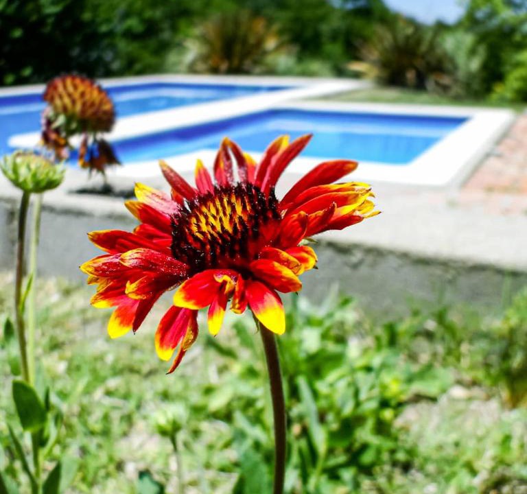 Villa Giardino House | Llanten Dorado Cabañas