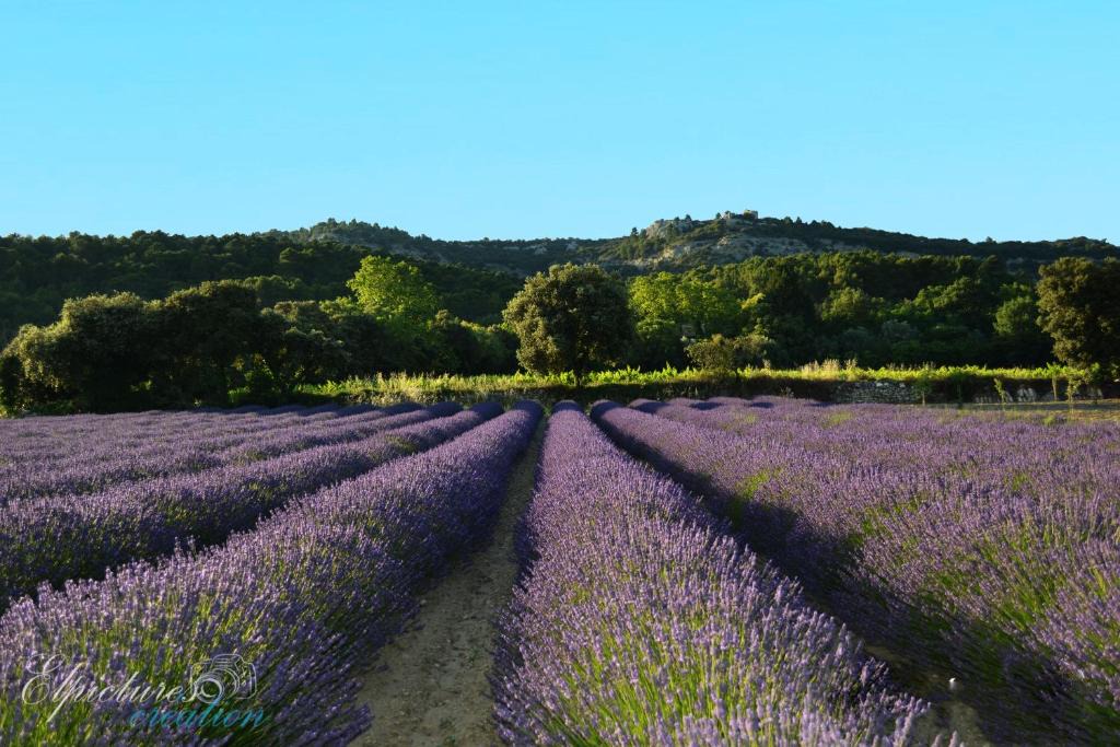Suze-la-Rousse Bed & Breakfast | Lo Rastelié