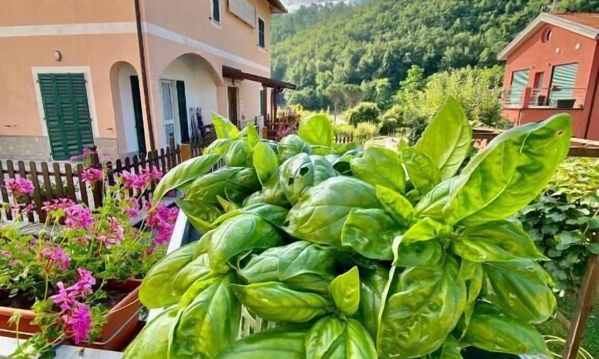Pignone House | Locanda da Marco