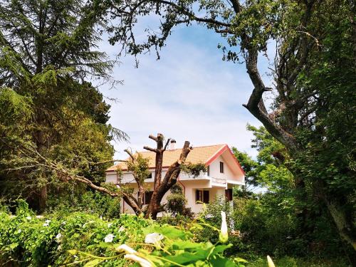 San Leonardo de Siete Fuentes House | Locanda SottoBosco