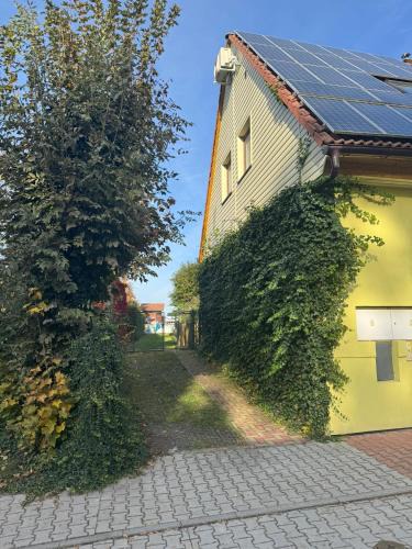 Lochkov House | Lochkov 53