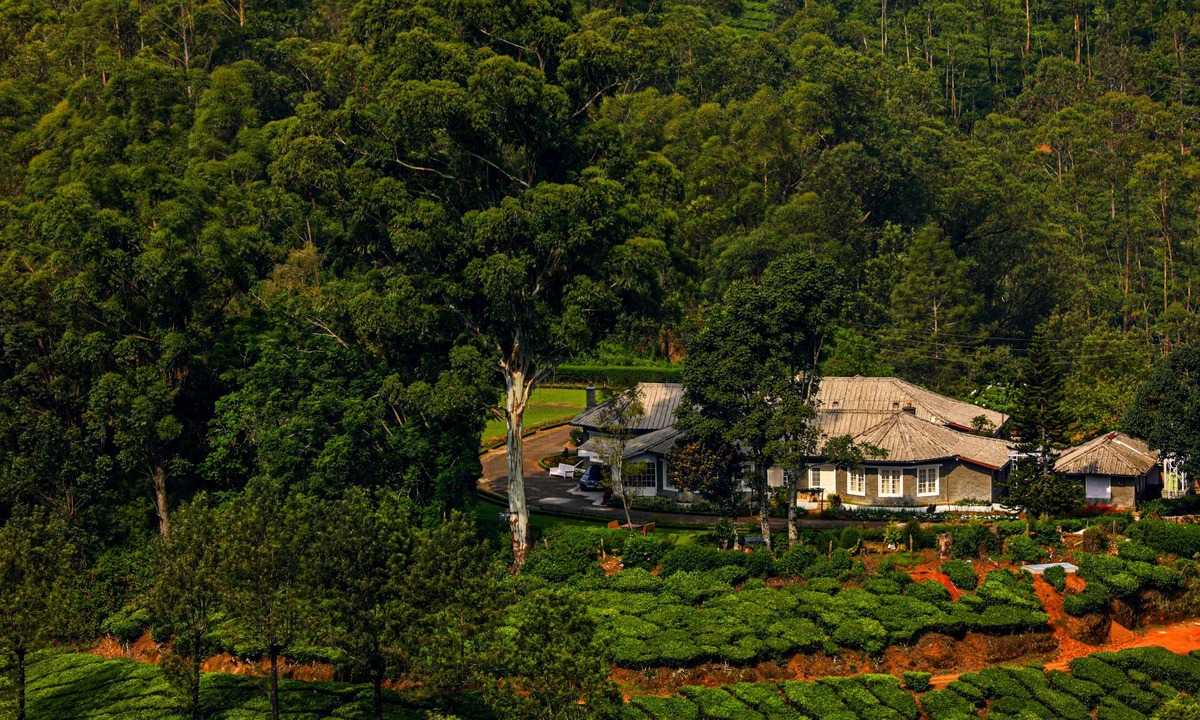 Devikolam Cabin | Lockhart Bungalow Munnar CGH Earth