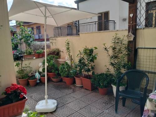 Rome Province Apartment | loft indipendente con giardino a Roma Tor vergata
