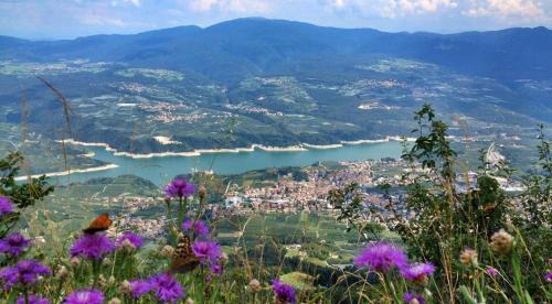 Cles House | Loft Monte Peller