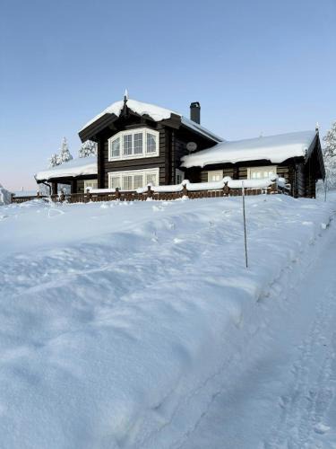 Akrestrømmen House | Log Cabin With Panoramic Views Near Renåfjellet