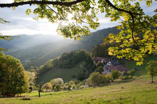 Saint-Amarin Hotel | Logis Hôtel-Restaurant Auberge Du Mehrbachel