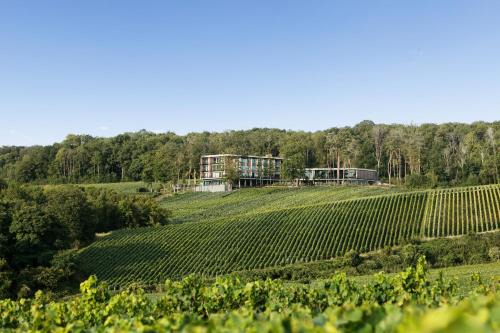 Mutigny Hotel | LOISIUM Wine & Spa Hotel Champagne