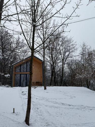 Slanic Ski Chalet | Loku'