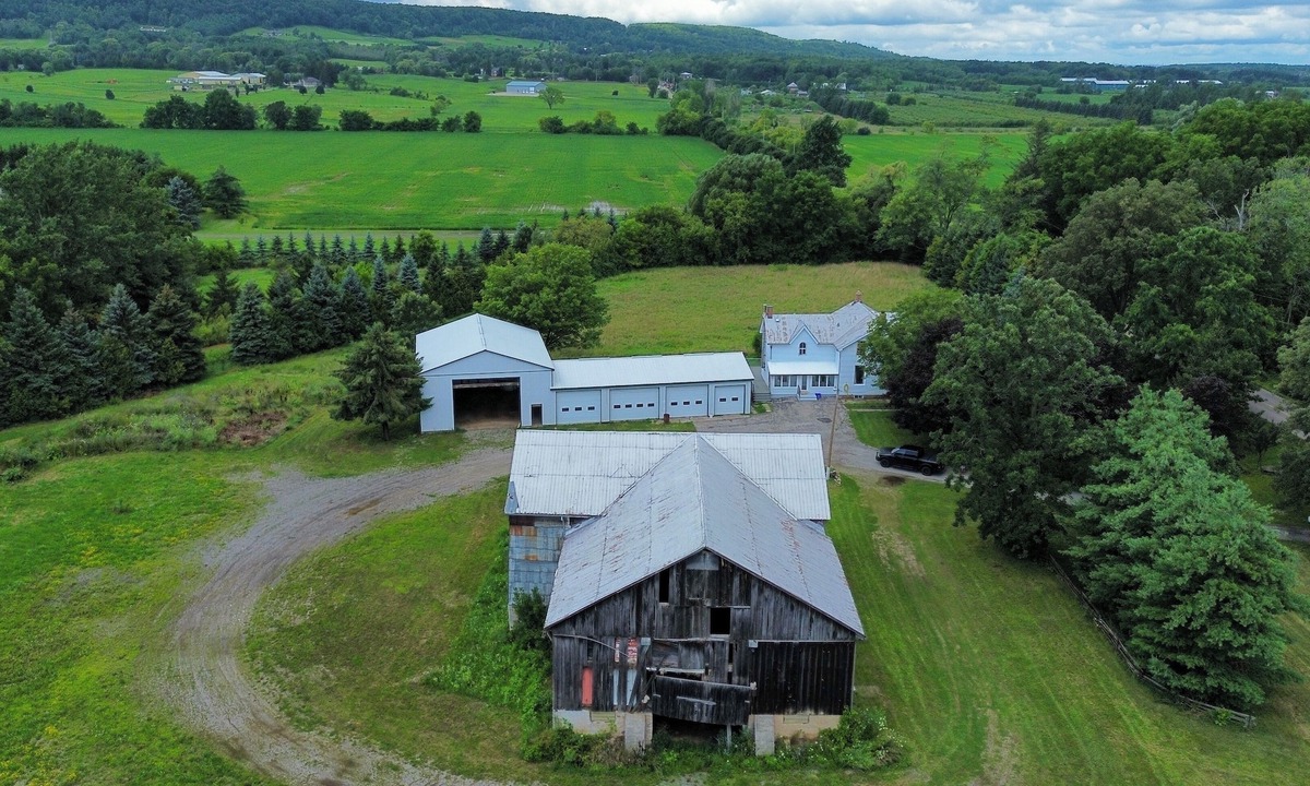 Norval Other | Looking for a getaway in the woods close to the city?(pet friendly, party?)