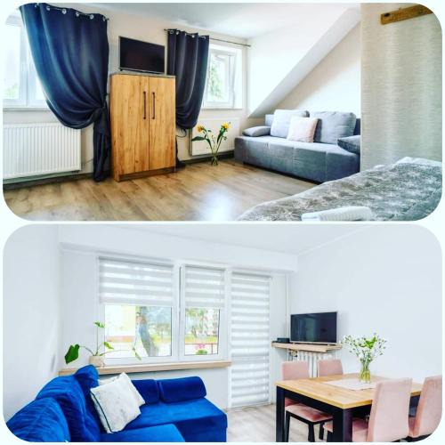 Plock Apartment | LOQUS Apartamenty Studia Pokoje