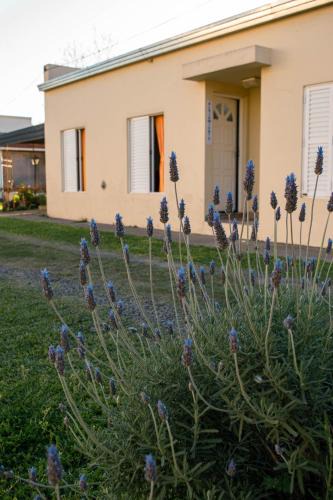 Villa Elisa Apartment | LOS GURISES Villa Elisa