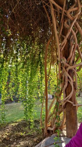 Villa Basilio Nievas House | Los Horneros