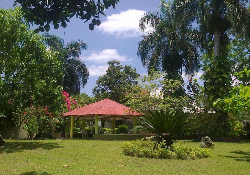 San Cristobal House | Los Palmares Guest House & Eventos