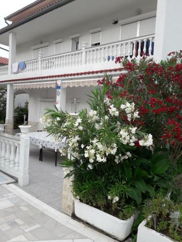 Palit Apartment | Lovely Marjetka apartment