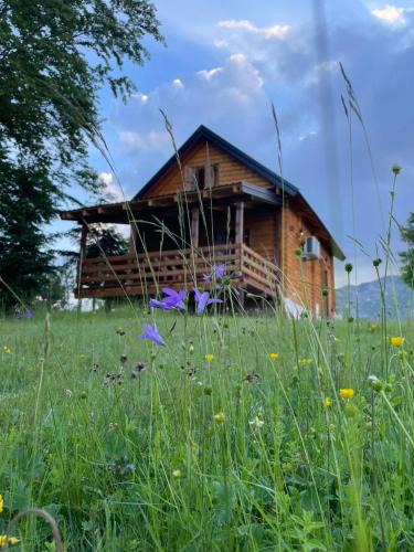Virak House | Lu-Na