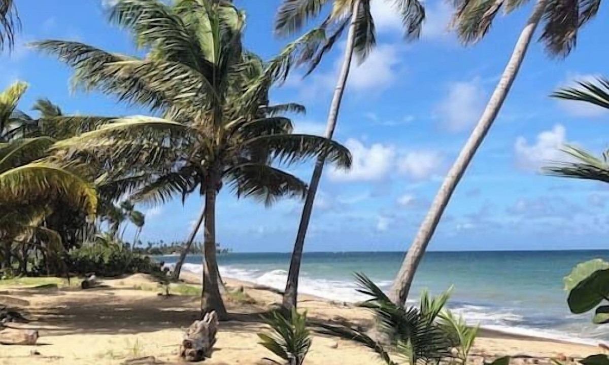 Playa Fortuna House | Lucky Luquillo Solar El Yunque & Beach Retreat - 360° Ocean & Rainforest Views