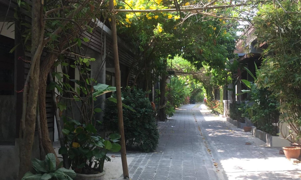 Chaweng City Center Resort | Lucky Mother Bungalow Chaweng
