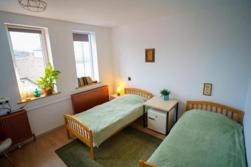 Sfantu Gheorghe Bed & Breakfast | Lumiere Studio 2