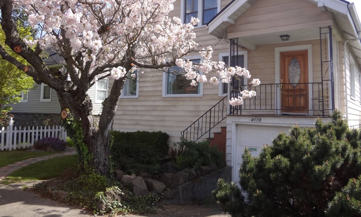 Fairmount Park House | Luna Lower - Friendly West Seattle Location
