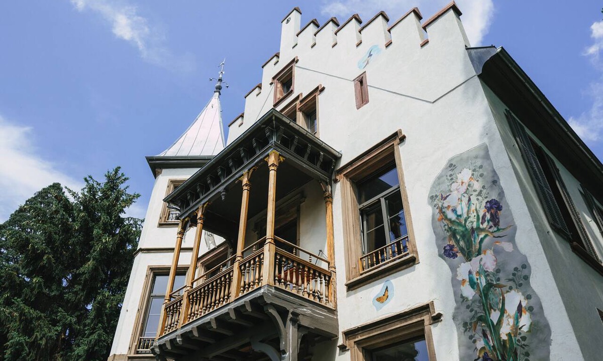 Guebwiller Apartment | Luxury and unique apartment, 1st floor of a 19th century mansion