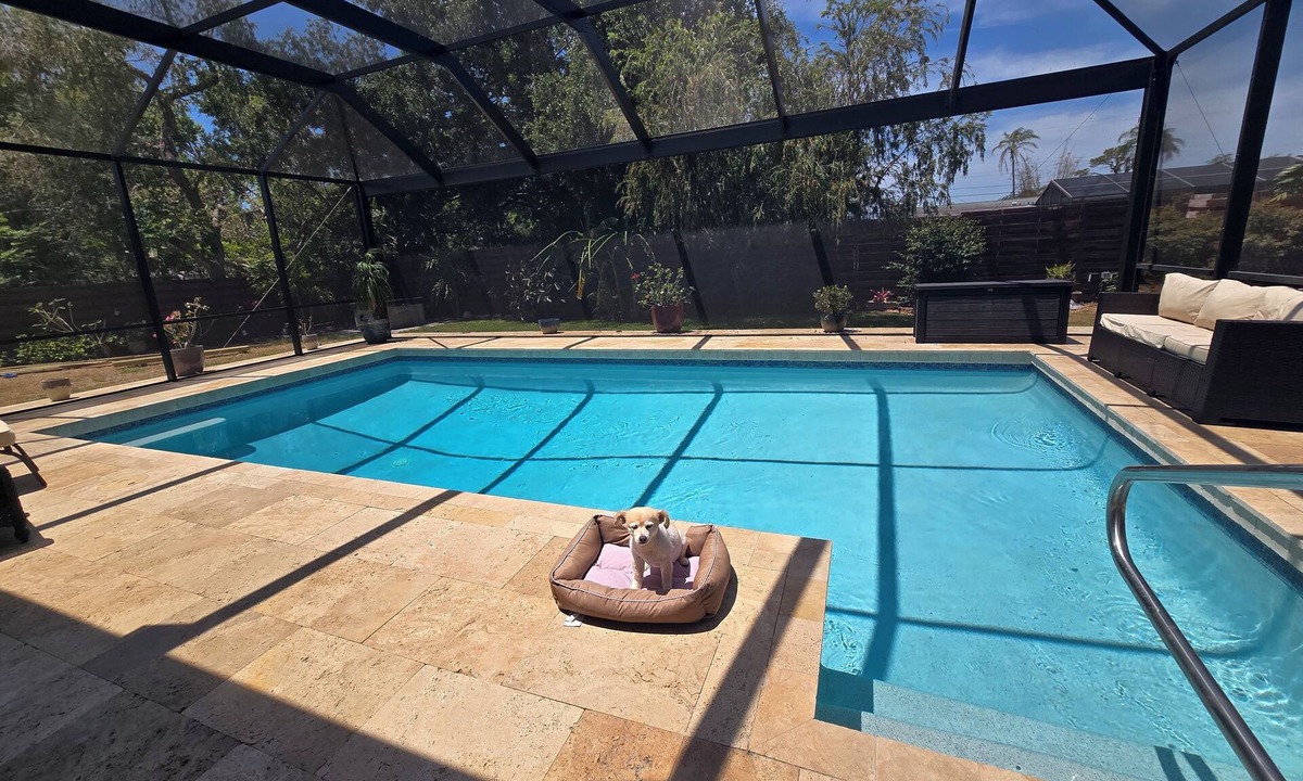 Gulf Gate Woods House | Luxury Backyard Pool Oasis for the Golf Enthusiast.Minutes to Seista Key 3BR